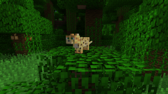 我的世界猫吃什么才能驯服（猫咪驯服方法介绍） 