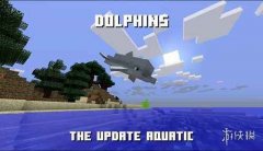 我的世界海豚吃什么食物（海豚的主要特性介绍） 