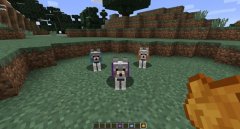 我的世界召唤指令大全（怎么用指令召唤生物） 