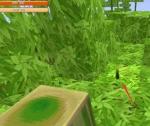 迷你世界怎么种竹子教程（快速获得大片竹林的办法） 