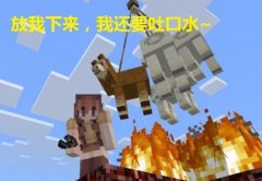 手机版我的世界怎么驯服羊驼（羊驼驯服攻略） 