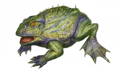 方舟魔鬼蛙吃什么驯服（魔鬼蛙属性详解） 