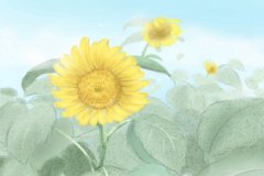 王者荣耀取什么名字好听又有深意（简单有内涵的游戏名字） 