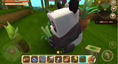 迷你世界熊猫怎么生宝宝视频（熊猫驯服教程） 