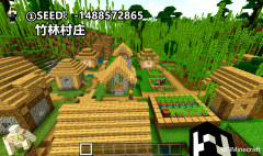 我的世界最好的种子号（盘点最罕见的5个种子） 