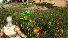 方舟进化下载破解版（教你下载生存进化破解版） 