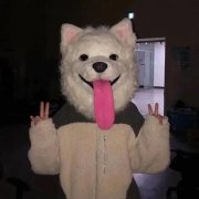 王者荣耀什么名字好听女生（最新高冷女生名字大全） 