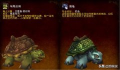 魔兽世界乌龟坐骑怎么获得（快速入手乌龟坐骑的方法） 