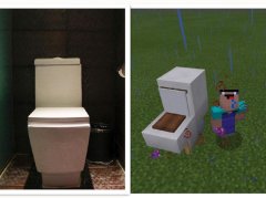 我的世界马桶怎么做好看（教你建造带效果的马桶） 