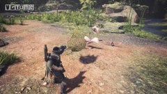 怪物猎人世界主线流程攻略（新手玩家入门必备攻略） 