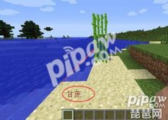 我的世界引雷附魔书有什么用（详细作用介绍） 