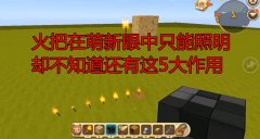  迷你世界隐藏陷阱大全（延时陷阱作用详解） 