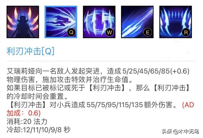 S11刀妹教学，触及你的知识盲区，助你成为集锦里的Bin