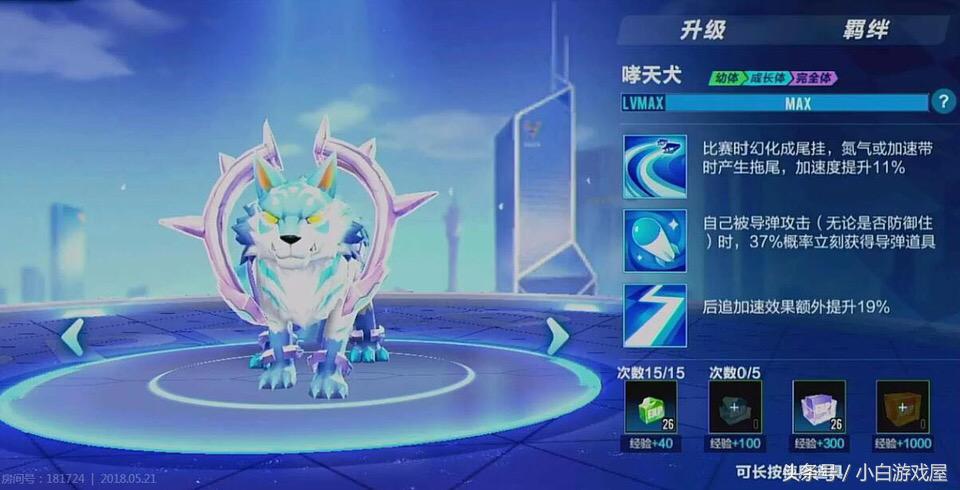 手游QQ飞车:宠物特性竞速道具实用排行榜,哮天犬真有那么好吗