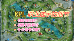 王者荣耀视野机制详解（视野机制与技巧深度解析） 