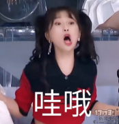 天龙八部那个职业厉害（公认最吃香的职业） 