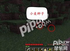 我的世界小麦种子怎么获得（我的世界小麦种子代码） 