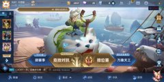 玩王者荣耀卡顿怎么解决（4个方法可改善游戏卡顿） 