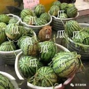逃脱方块玩的顺序（带你玩转逃脱方块游戏） 