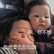 大话西游手游仙器升阶方法（揭晓五阶仙器升阶攻略） 