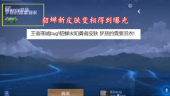 王者荣耀四大美女貂蝉皮肤（貂蝉新皮肤上身效果图） 