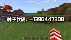 我的世界十大稀有种子代码（免费分享这3个珍贵种子代码） 