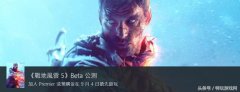 战地5手游在哪里下载（战地5游戏介绍及下载） 