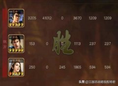 三国志攻略武将搭配（三国志战略版武将攻略） 