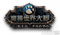 魔兽世界大脚下载用不了（魔兽世界大脚配置文件下载失败） 