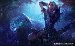 魔兽世界猎人宝宝推荐（魔兽世界猎人宝宝选择指南） 