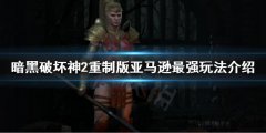 暗黑2亚马逊最强玩法加点（暗黑2亚马逊标枪系加点图） 