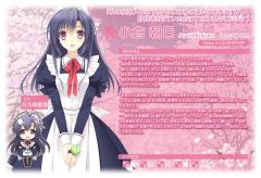 近月少女的礼仪攻略（近月少女的礼仪顺序图） 