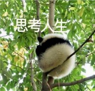 英雄联盟打野路线（lol打野技巧和意识） 