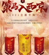 天龙八部宝宝幻化有什么用（天龙八部怀旧宝宝幻化） 