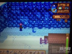 星露谷物语背包扩充多少钱（星露谷物语无限背包） 