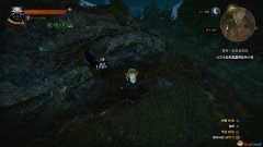 巫师3震惊疗法怎么做（巫师3震惊疗法不睡觉） 