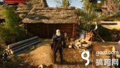 巫师3老鼠之塔完美结局怎么触发（巫师3老鼠塔东北湖） 