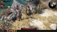 神界原罪2职业推荐（神界原罪2单人最强职业） 