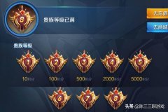 王者荣耀vip等级在哪里看（王者荣耀vip等级查看） 