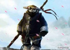 魔兽世界熊猫人玩什么职业好（熊猫人职业选择） 