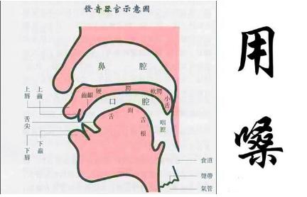 浅谈戏曲用嗓——真声与假声