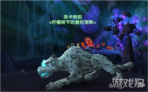 魔兽世界猎人宝宝推荐 最适合玩家的宠物