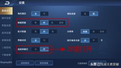 王者荣耀英雄动作怎么设置（新手入门实操攻略） 