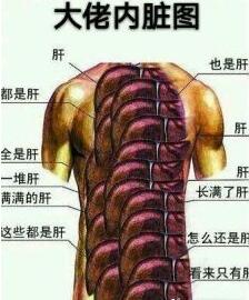 LOL等级排行榜：国服第一肝帝修炼到563级，高于400级仅有三人