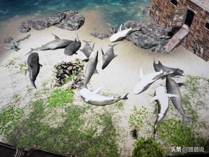 荒岛求生：你不知道的一些生存秘诀，掌握这些要点，玩起来不费力