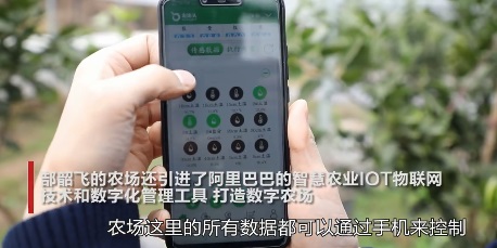 开心农场游戏创始人建真农场：他是真的爱开农场啊