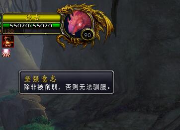 魔兽世界：来了就有的灵魂兽 魔瘾豹子和三色箭猪了解一下