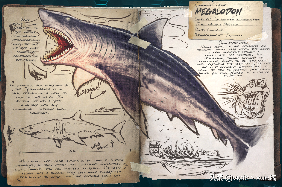 方舟生存进化生物篇—巨齿鲨