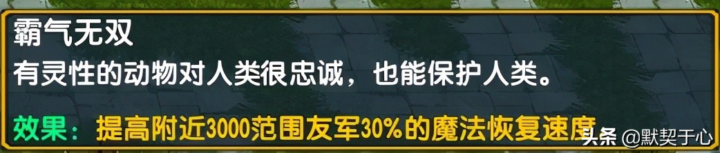 《默契于心》魔兽争霸3：混乱武林·苍山负雪·攻略·令牌宠物篇