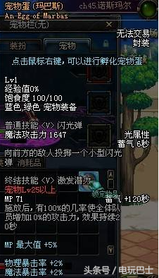 DNF能交易的宠物推荐 价格便宜非常适合小号